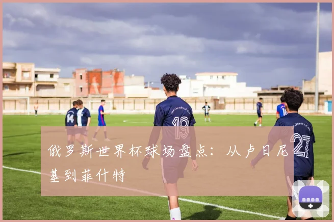 俄罗斯世界杯球场盘点：从卢日尼基到菲什特