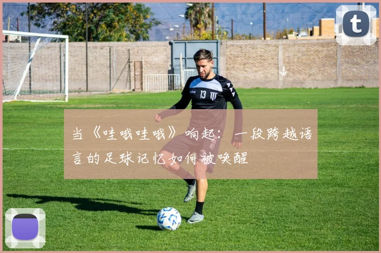 当《哇哦哇哦》响起：一段跨越语言的足球记忆如何被唤醒